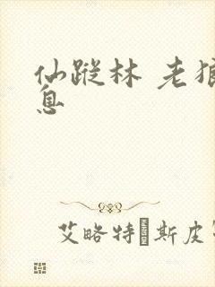 仙踪林 老狼信息