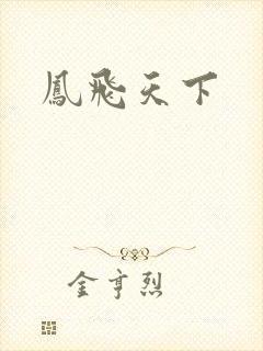 凤飞天下