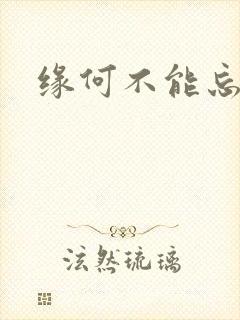 缘何不能忘记你