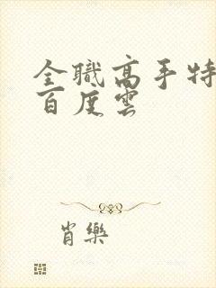 全职高手特别篇百度云