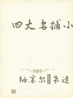 四大名捕小说