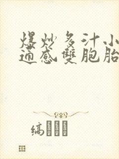 爆炒多汁小美人通感双胞胎