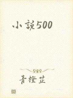 小说500
