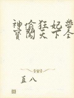 神偷狂妃带着宝宝闯天下全文免费阅读