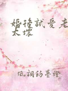 婚后试爱老公别太坏