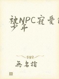 被NPC宠爱的少年