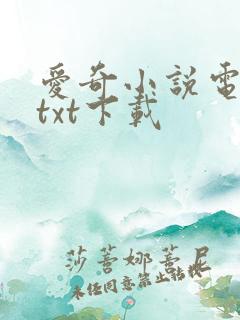 爱奇小说电子书txt下载