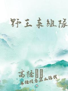 野王来组队小说