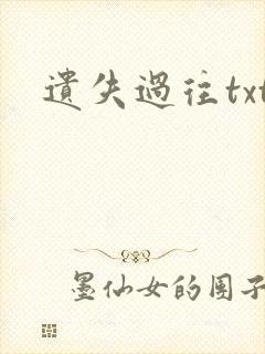 遗失过往txt