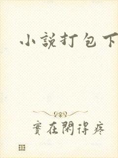 小说打包下载