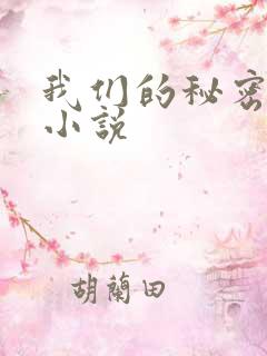 我们的秘密泰剧小说