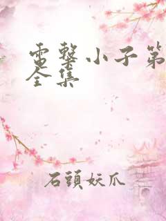 电击小子第二部全集