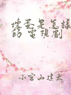 坏蛋是怎样炼成的 电视剧