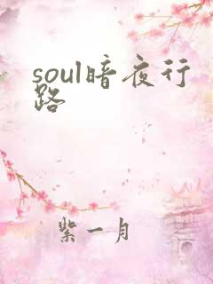 soul暗夜行路