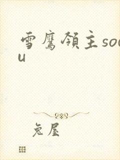 雪鹰领主sodu