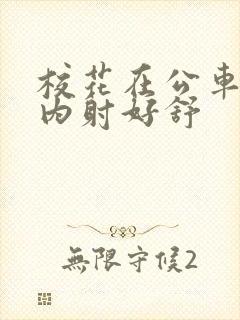 校花在公车上被内射好舒