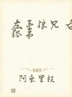 左手狼兄 右手狐弟