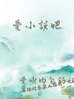 爱小说吧