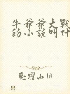 牛爷爷大战小丽的小说叫什么