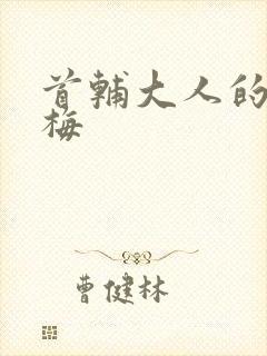 首辅大人的小青梅