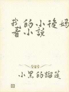 我的小后妈免费看小说