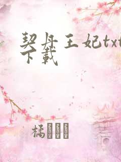 契丹王妃txt下载