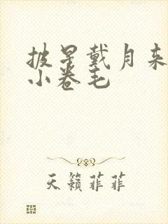 披星戴月来睡你小卷毛