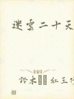 迷云二十天