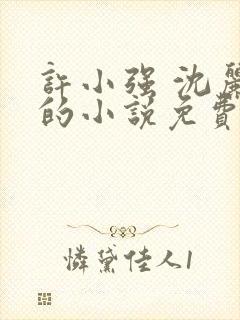 许小强 沈丽娟的小说免费阅读