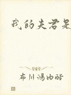 我的夫君是冥王