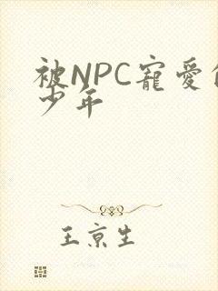 被NPC宠爱的少年