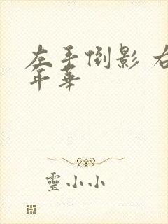 左手倒影 右手年华