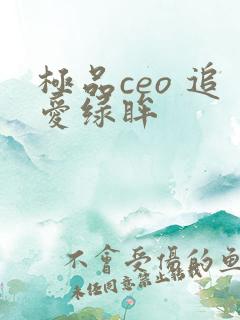 极品ceo 追爱绿眸