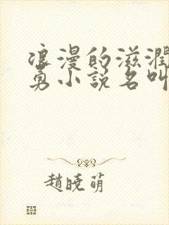 浪漫的滋润刘大勇小说名叫什么?