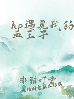 hp遇见我的混血王子
