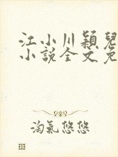 江小川颖儿穿越小说全文免费阅读