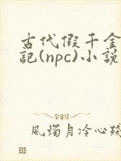 古代假千金挨日记(npc)小说