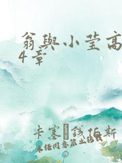 翁与小莹高潮24章