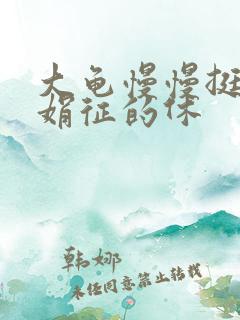 大龟慢慢挺进张娟征的休