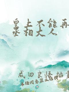 皇上不能再进了丞相大人