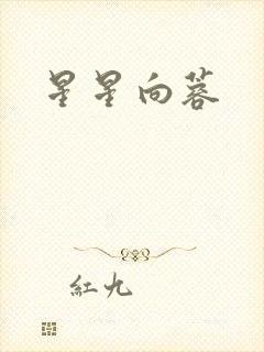 星星向蓉