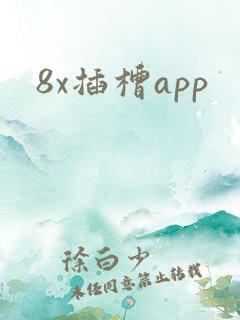 8x插槽app