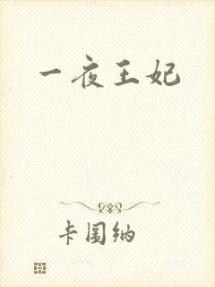 一夜王妃