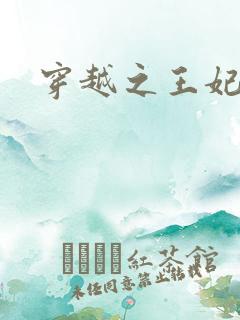 穿越之王妃有孕