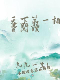 天下第一相书免费阅读