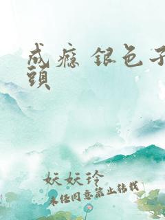 成瘾 银色子弹头