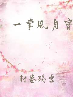 一掌风月宝鉴