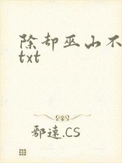 除却巫山不是云txt