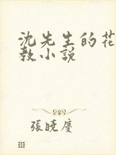 沈先生的花式调教小说