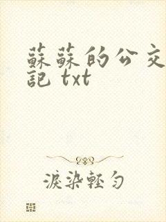 苏苏的公交车日记 txt